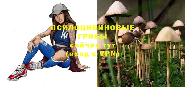 ALPHA PVP Алзамай